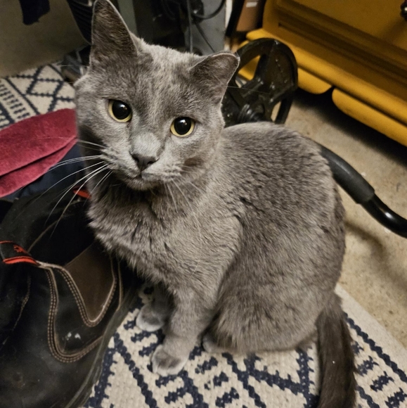 Meet your Posher, Amy - Picture 8 of 10